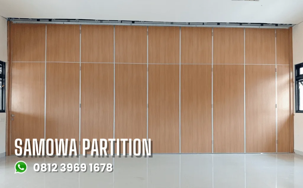 samowa partition